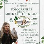 Weihnachten 2024 Falknerei am Rennsteig