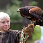 Kind mit Adler auf dem Arm