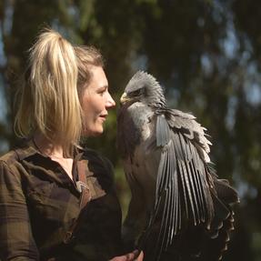 Blaubussard Cato mit Falknerin Lisa Foto: MDR/ DOKfilm/ M.Neuber