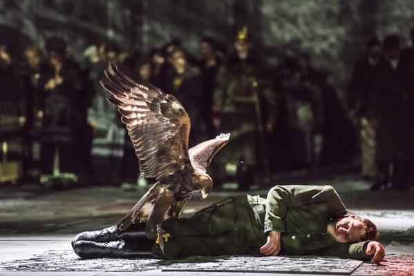 Steinadler Berry und Falkner - Theateraufführung Erfurt